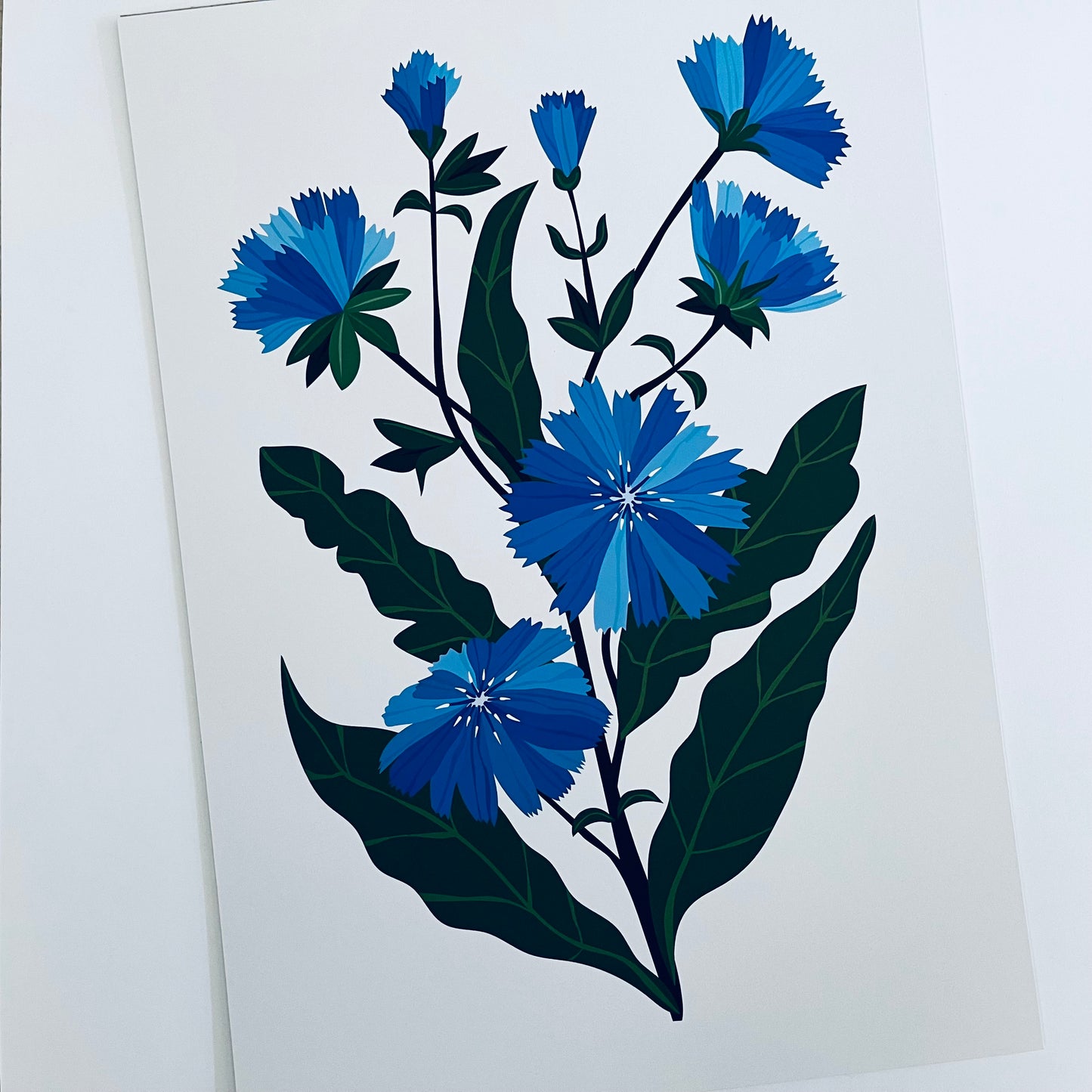 Chicory A4 Art Print & Card Gift Pairing