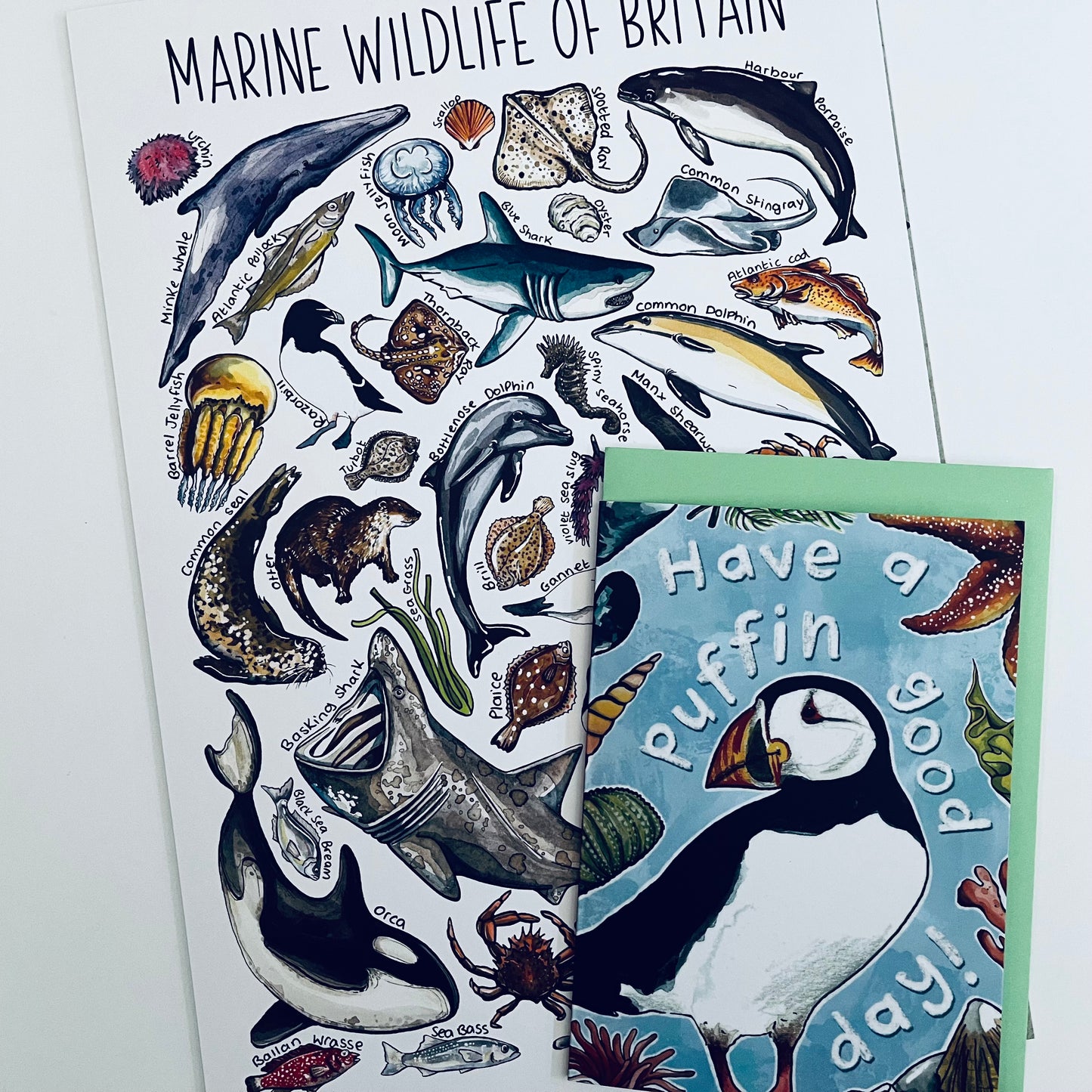 Marine Wildlife A4 Art Print + Card Gift Pairing