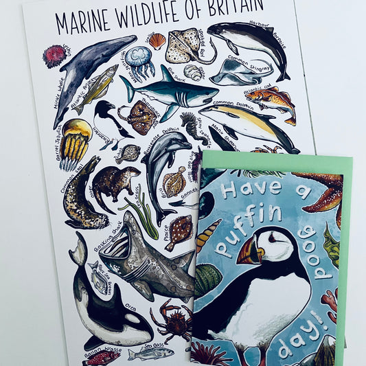 Marine Wildlife A4 Art Print + Card Gift Pairing